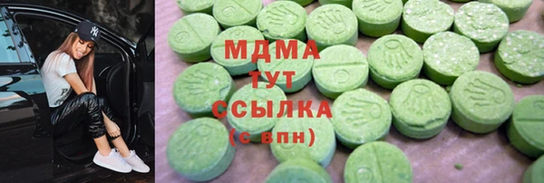 индика Аркадак