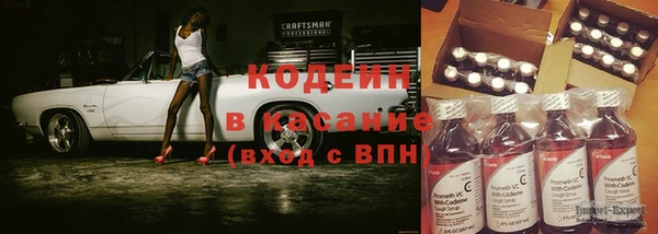 индика Аркадак