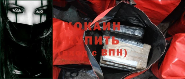 индика Арсеньев