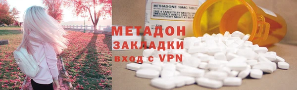 индика Арсеньев