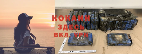 индика Арсеньев