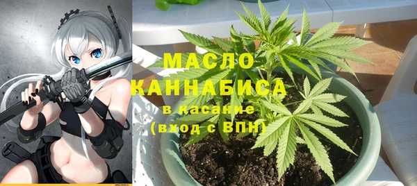 индика Арсеньев