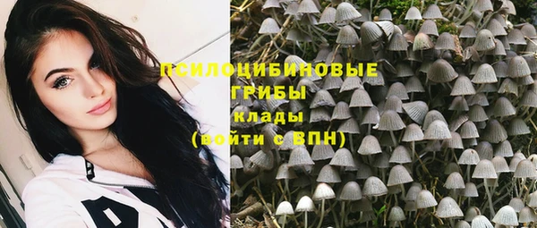 индика Аркадак