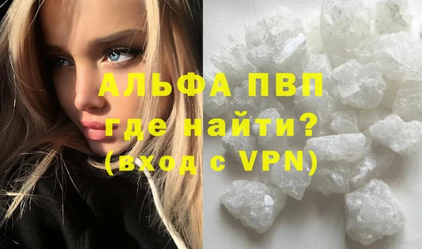 индика Аркадак