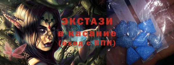 индика Арсеньев