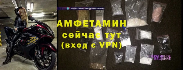 индика Арсеньев
