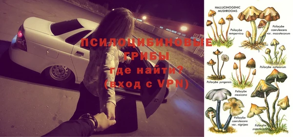 индика Арсеньев