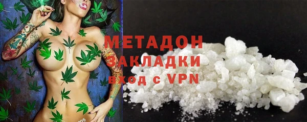 индика Аркадак